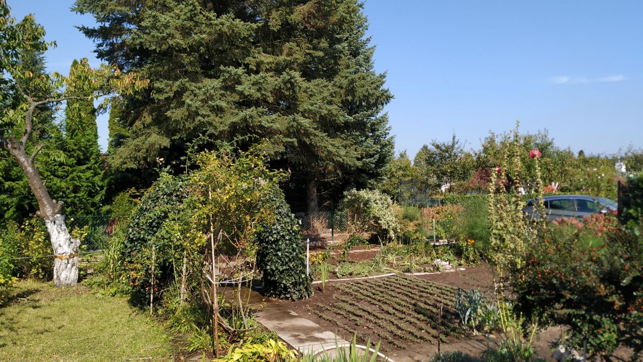 Działka rod Piła Gładyszewo, ul. Polna. Zdjęcie 7