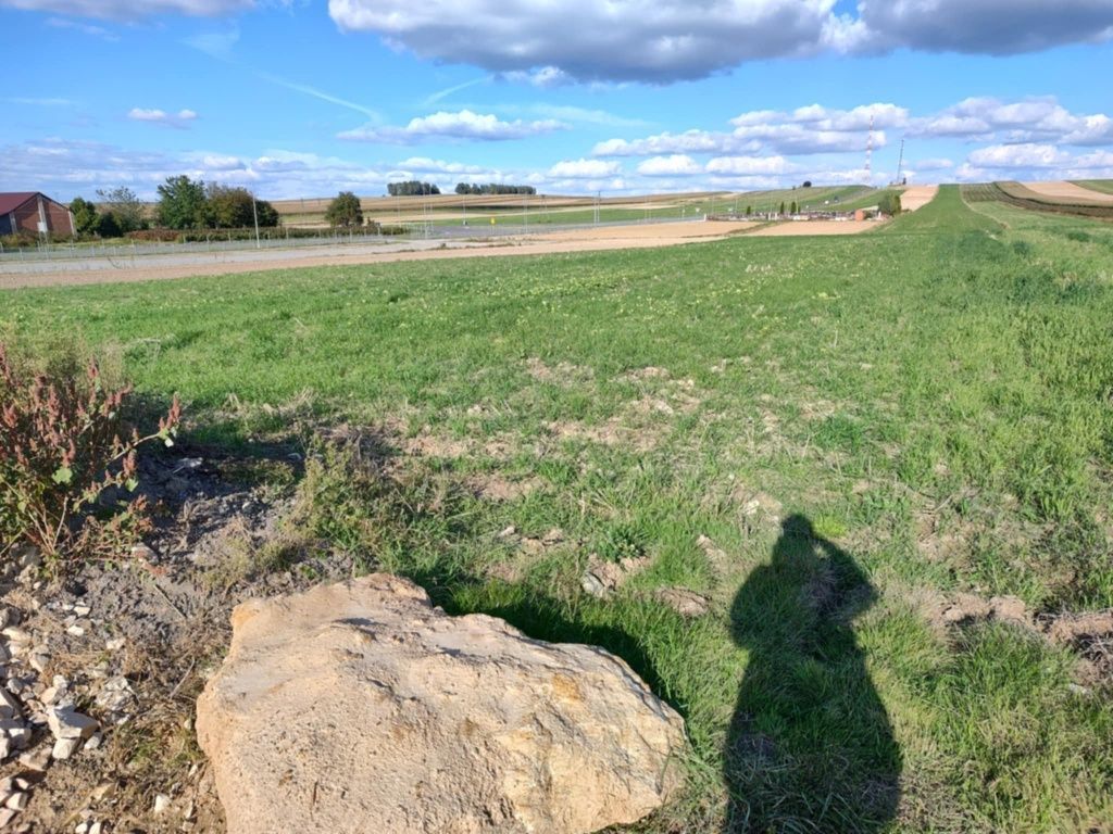 Działka rolno-budowlana Piotrków Pierwszy. Zdjęcie 7