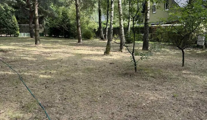 Działka budowlana Sierżnia