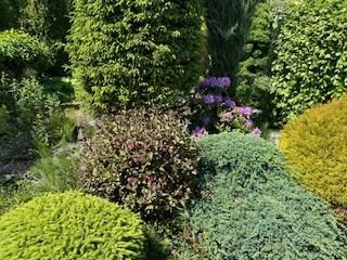 dom wolnostojący, 4 pokoje Bielsko-Biała Lipnik, Władysława Kiernika. Zdjęcie 143