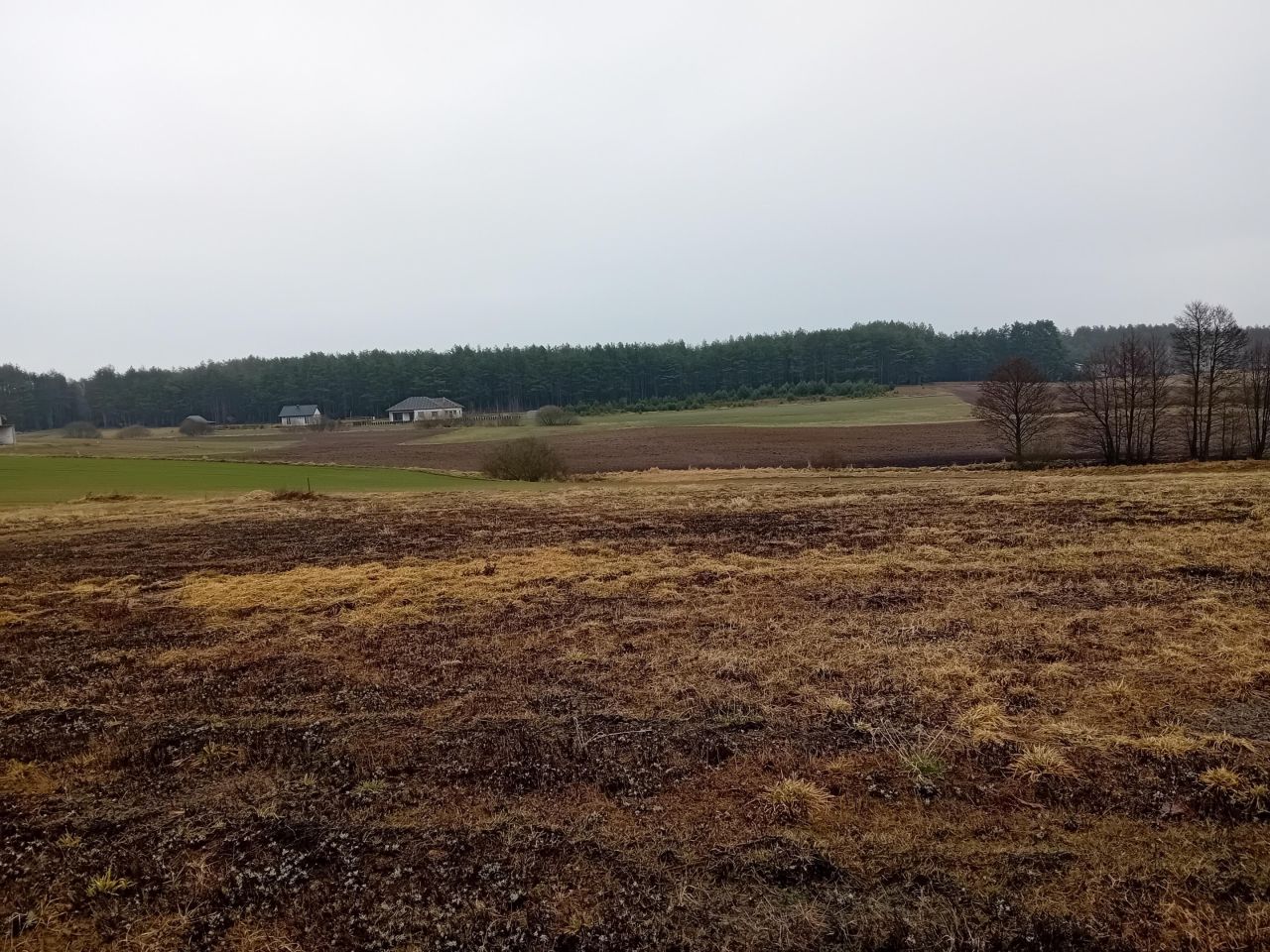 Działka budowlana Lisiny. Zdjęcie 5