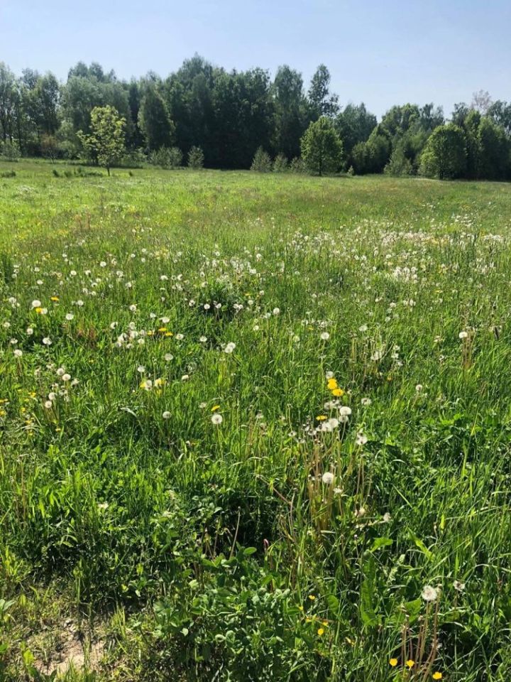Działka rolno-budowlana Sarbice Pierwsze. Zdjęcie 4
