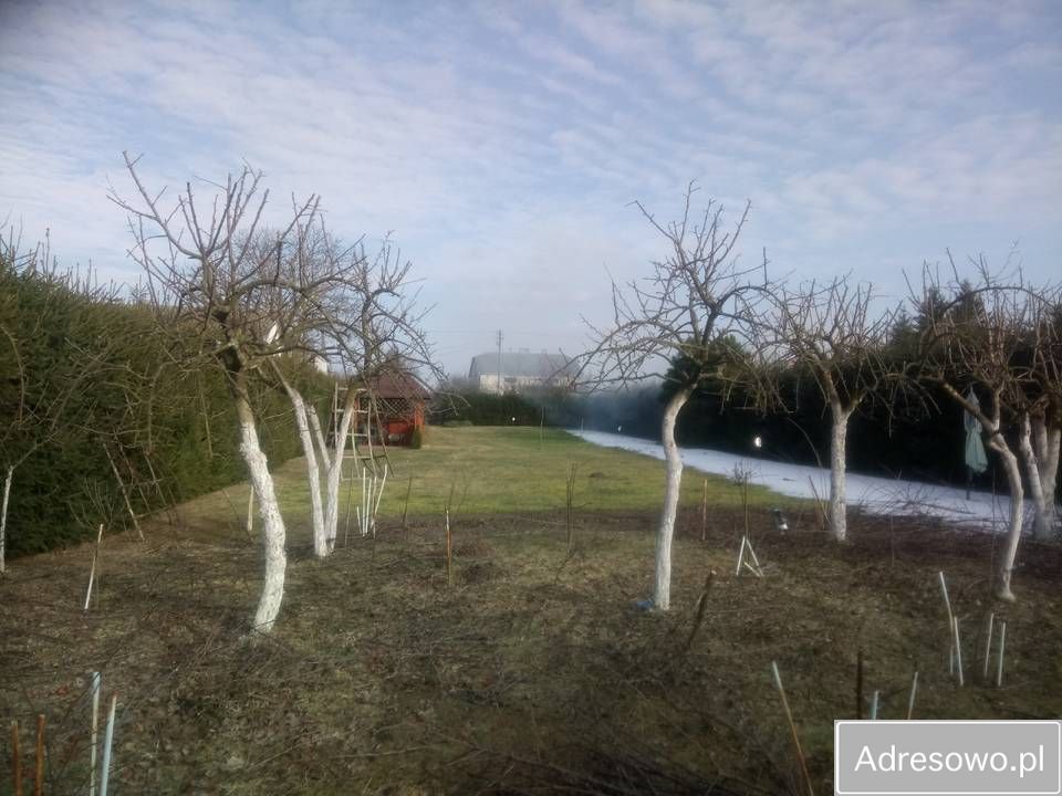 Działka rekreacyjna Dorohusk. Zdjęcie 6