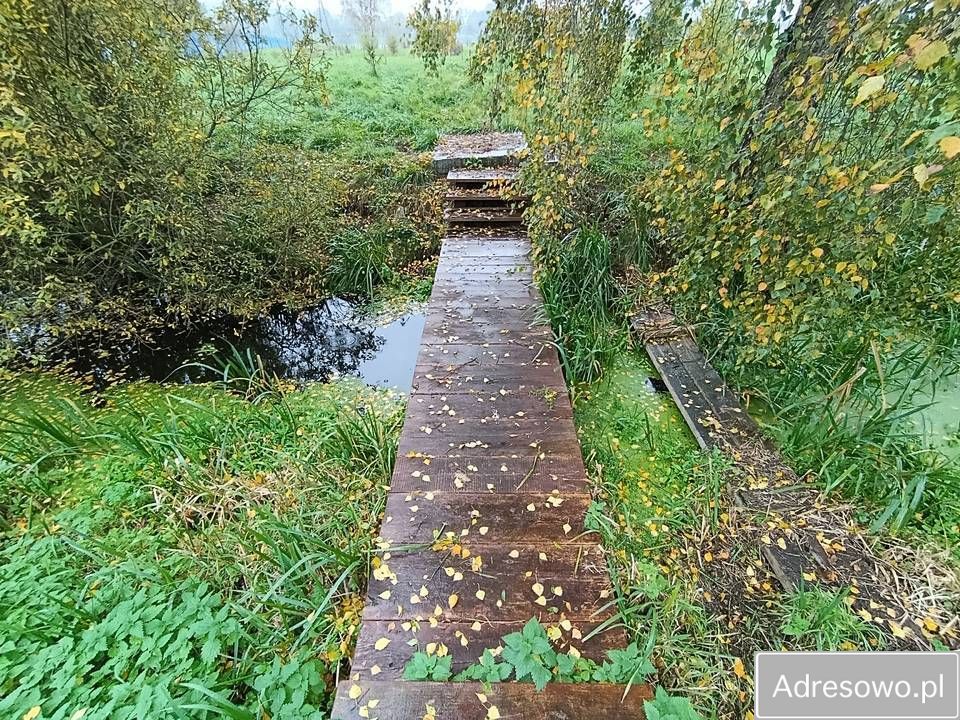 dom wolnostojący Liwa. Zdjęcie 5