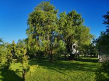 Działka rod Wrocław Jagodno, ul. Konduktorska. Zdjęcie 4