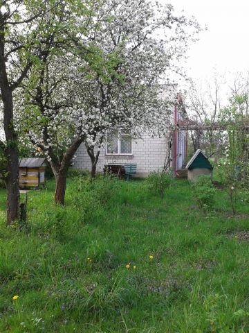 Działka rolno-budowlana Jedlnia-Kolonia. Zdjęcie 1