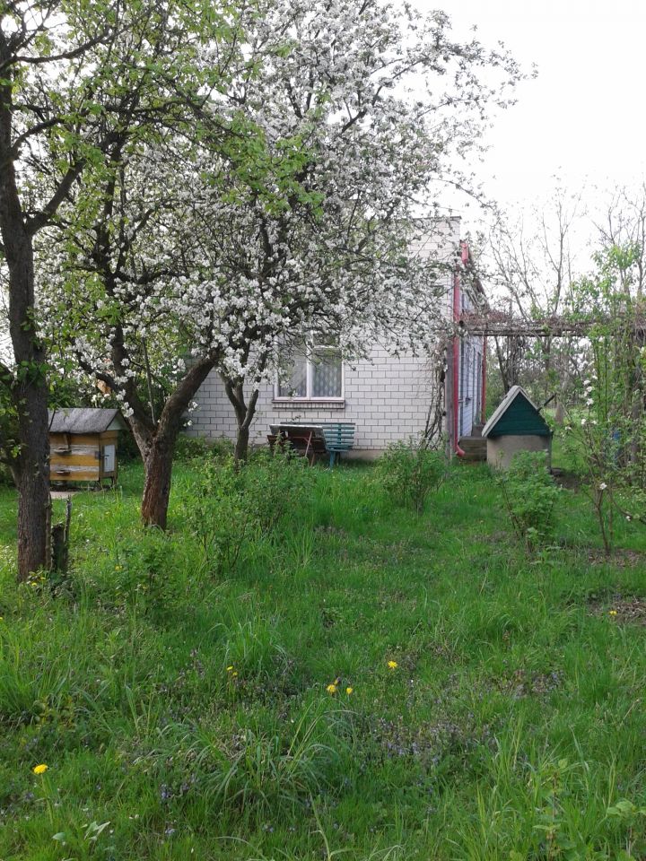 Działka rolno-budowlana Jedlnia-Kolonia. Zdjęcie 1