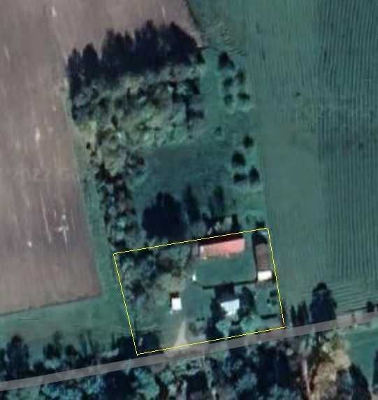 siedlisko Hołny Wolmera. Zdjęcie 6