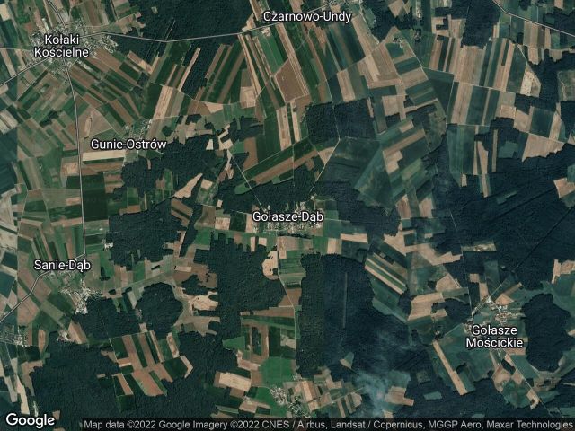 Działka leśna Gołasze-Dąb. Zdjęcie 1