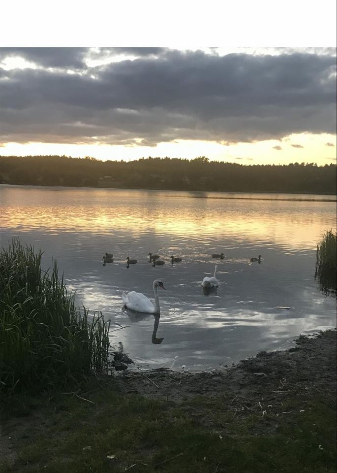 dom letniskowy, 2 pokoje Zbychowo, ul. Letniskowa. Zdjęcie 11