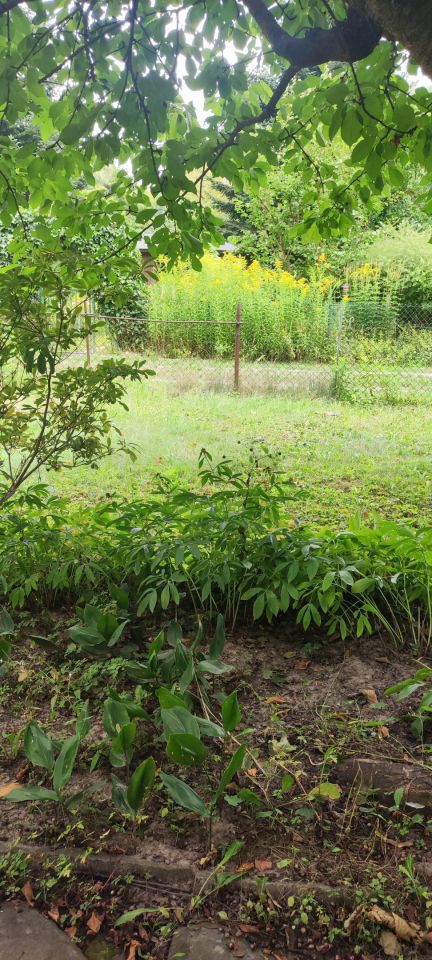 Działka rod Warszawa Mokotów, ul. Racławicka. Zdjęcie 32