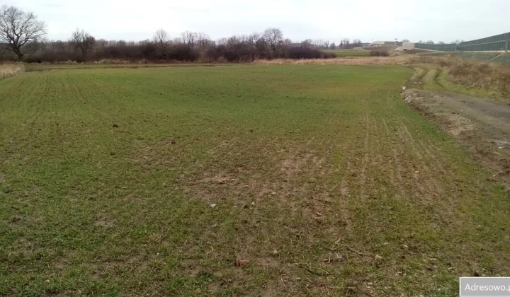 Działka inwestycyjna Głoska