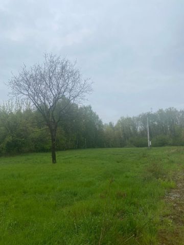 Działka rolno-budowlana Bielcza. Zdjęcie 1