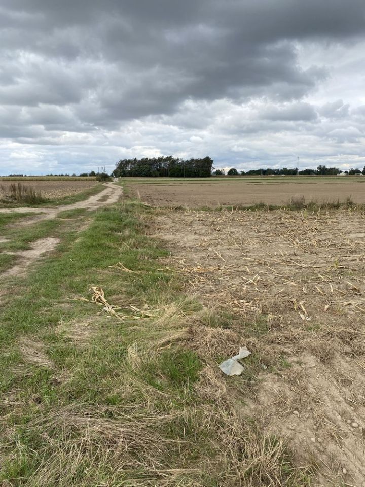 Działka rolna Zembry. Zdjęcie 6