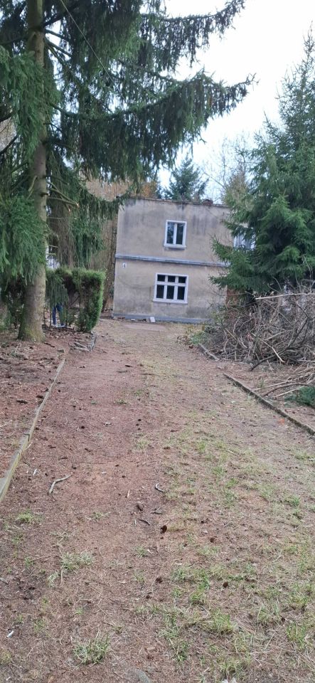 Działka budowlana Puszczykowo. Zdjęcie 1