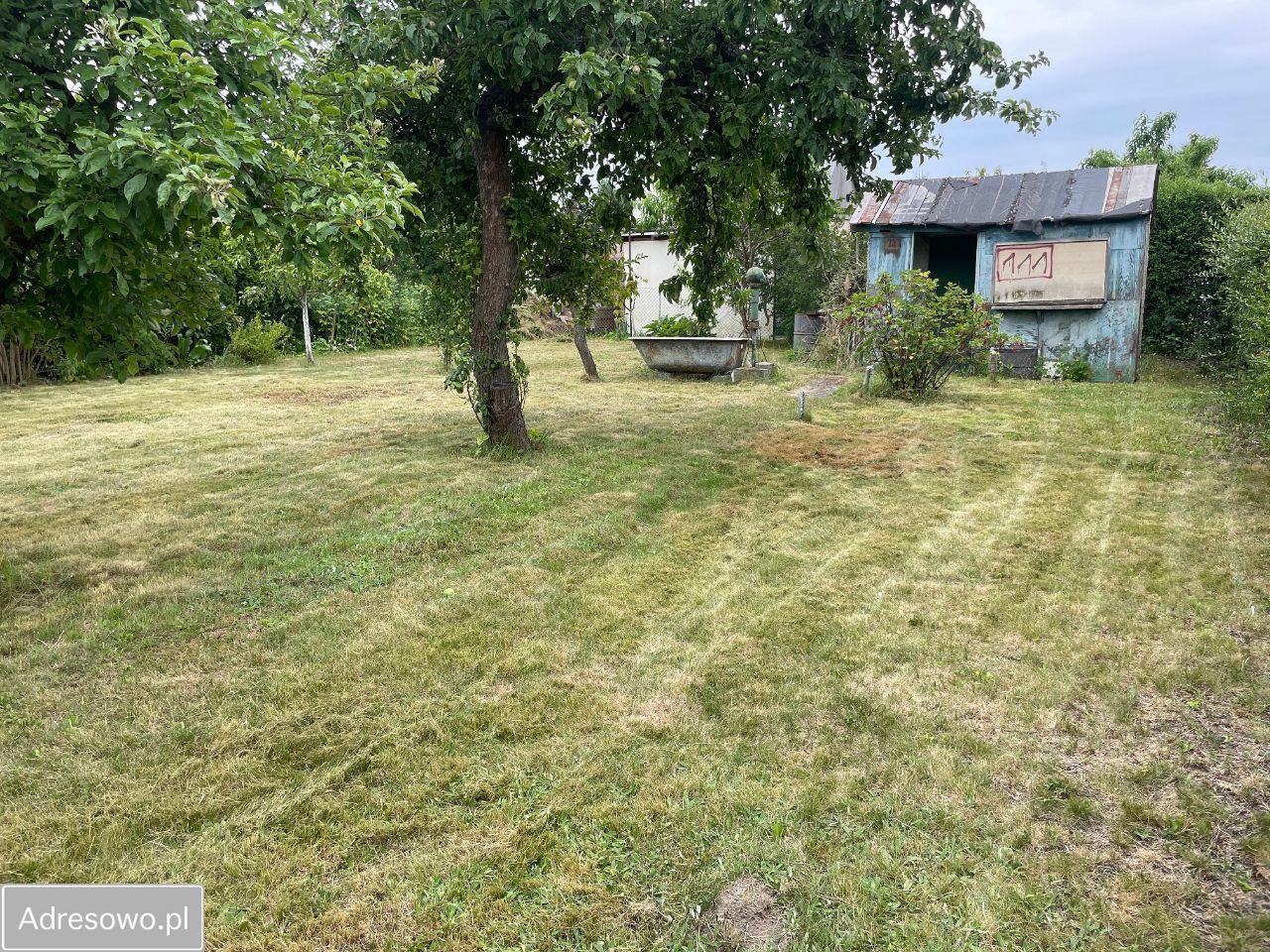 Działka rod Jelcz-Laskowice, ul. Piastowska. Zdjęcie 3