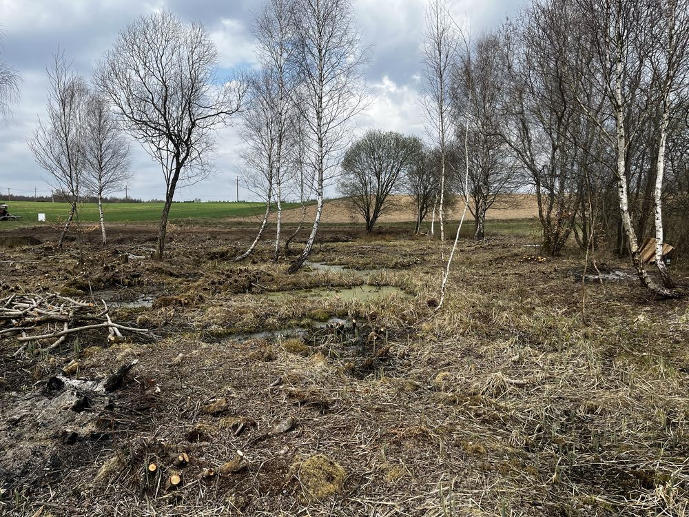 Działka rolno-budowlana Nowy Wiec. Zdjęcie 4