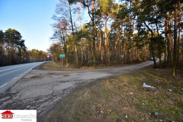 Działka leśna Stanisławów. Zdjęcie 12
