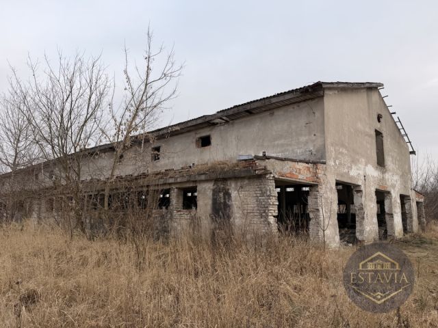 Działka inwestycyjna Węgorzyce. Zdjęcie 6