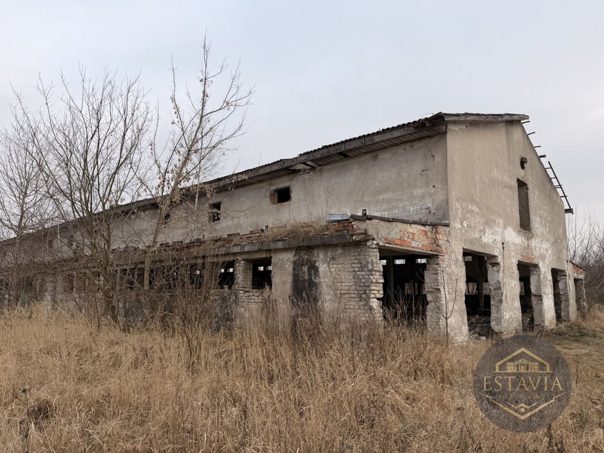 Działka inwestycyjna Węgorzyce. Zdjęcie 6