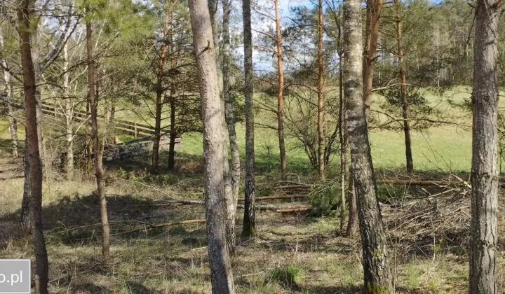 Działka budowlana Cierzpięty