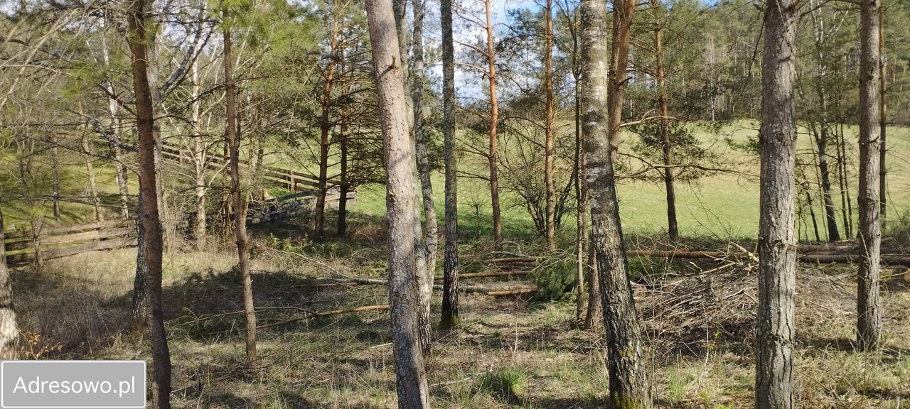 Działka budowlana Cierzpięty. Zdjęcie 1