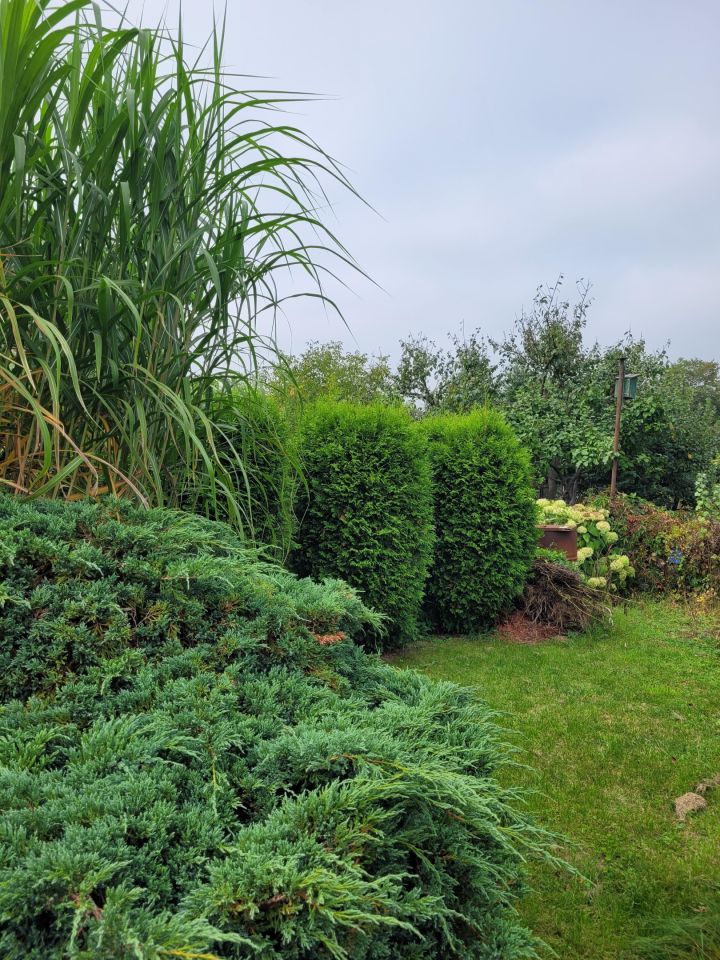 Działka rod Wrocław, ul. Strachowicka. Zdjęcie 7