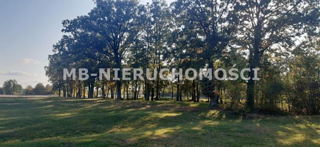 Działka rolna Nowosiedliny. Zdjęcie 8