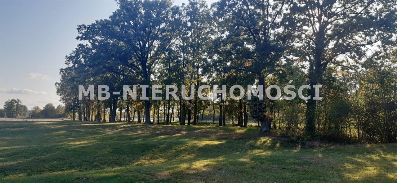 Działka rolna Nowosiedliny. Zdjęcie 8