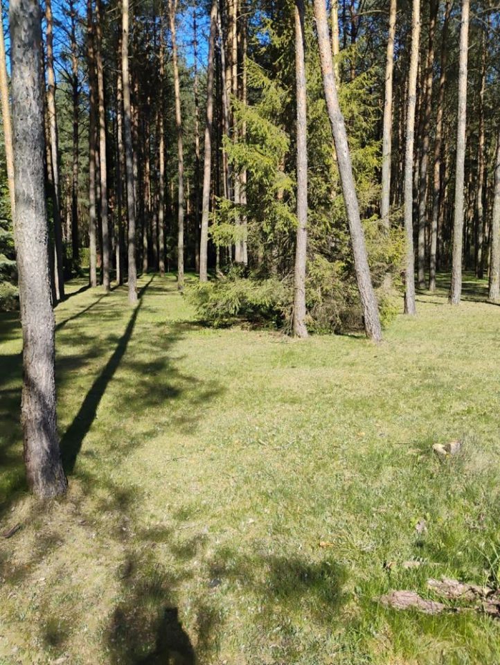 Działka leśna Słowak. Zdjęcie 3