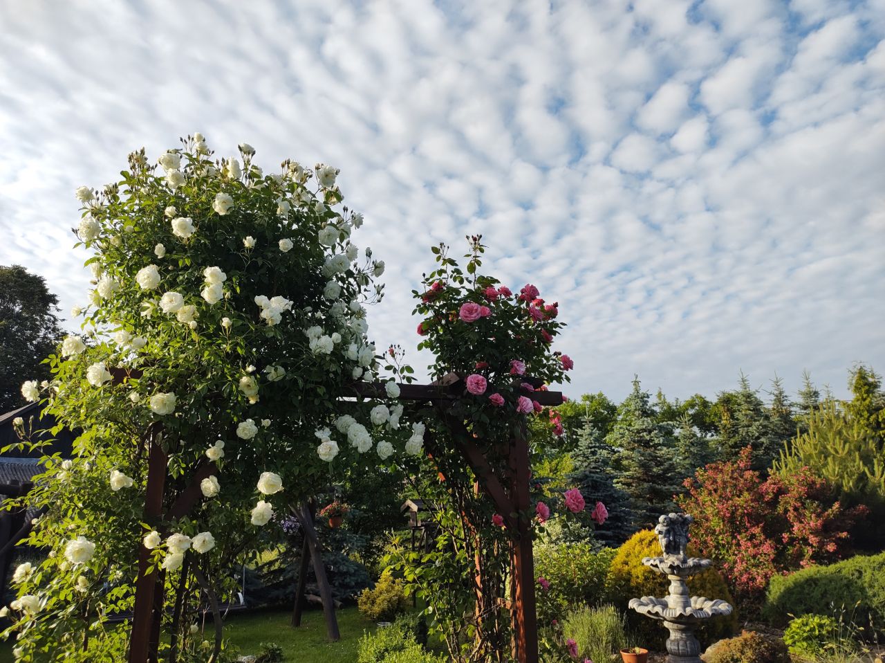 dom wolnostojący, 6 pokoi Mniów Raszówka, ul. Raszówka. Zdjęcie 27