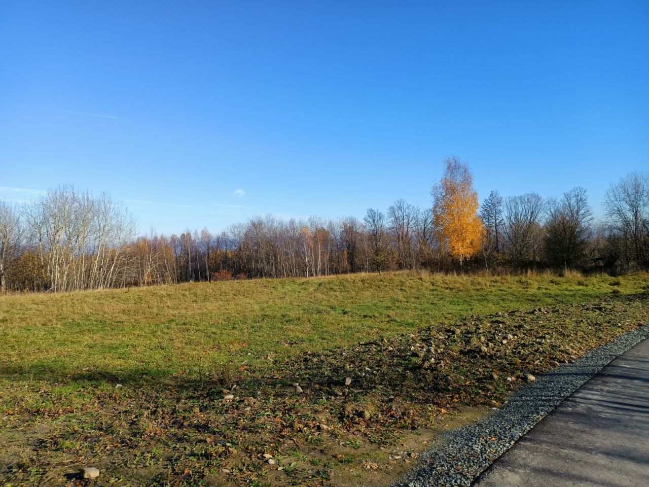 Działka inna Polanica-Zdrój Nowy Wielisław, ul. Władysława Reymonta. Zdjęcie 8