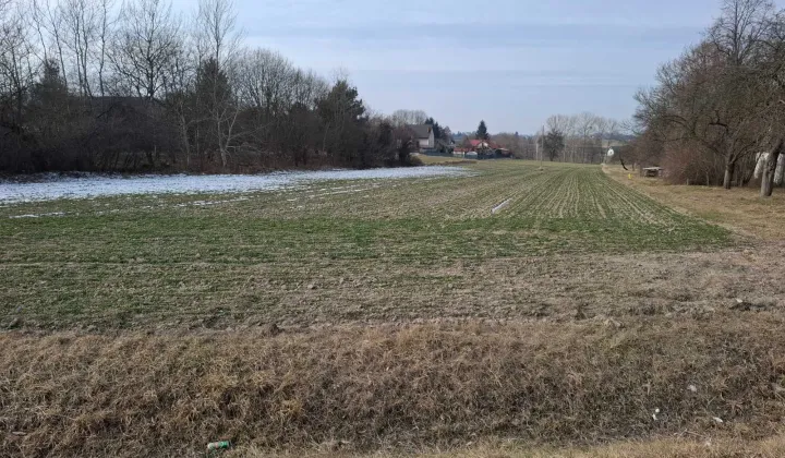 Działka rolno-budowlana Niedrzwica Kościelna