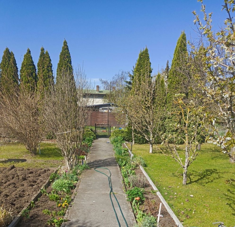 Działka rekreacyjna Kostrzyn nad Odrą, os. Leśne