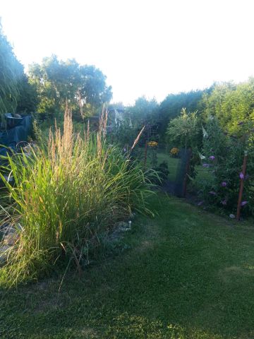 dom wolnostojący, 6 pokoi Strzelce Opolskie Mokre Łany, ul. Wawrzyńca Świerzego. Zdjęcie 20