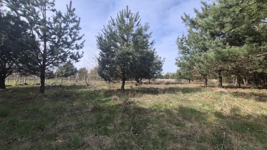 Działka budowlana Dobiesz. Zdjęcie 3