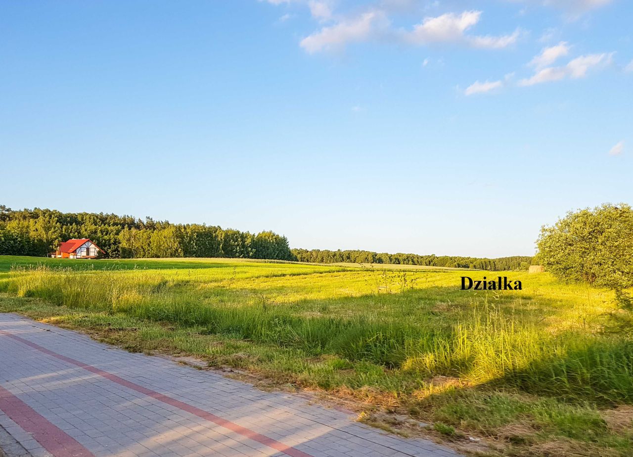 Działka rolno-budowlana Tynwałd Jezierzyce. Zdjęcie 9