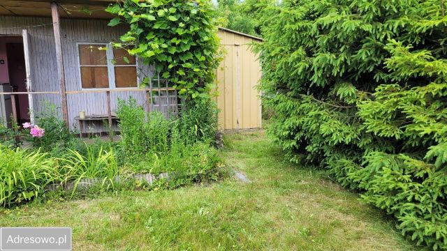 Działka rod Gdańsk Rębiechowo, ul. Nowatorów. Zdjęcie 2