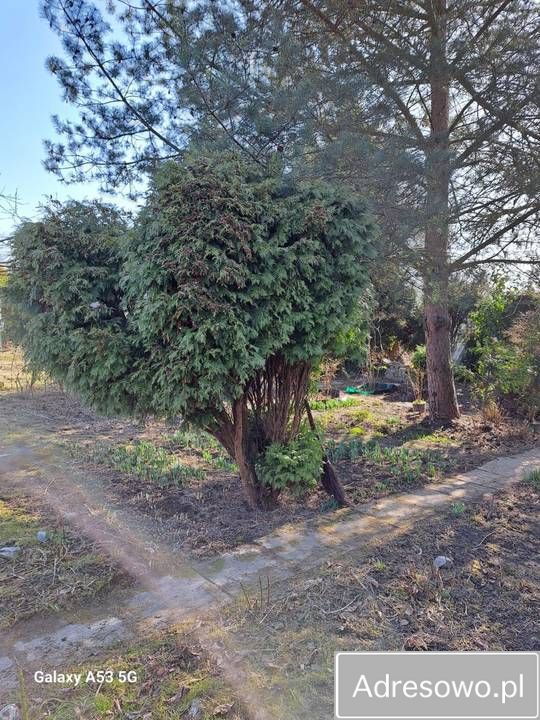 Działka rod Oświęcim. Zdjęcie 5