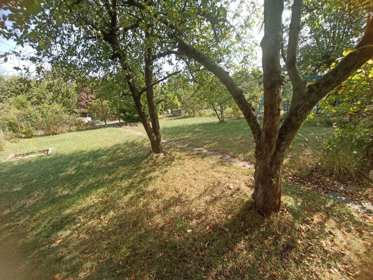 Działka rod Wrocław Krzyki, ul. Koszycka. Zdjęcie 2