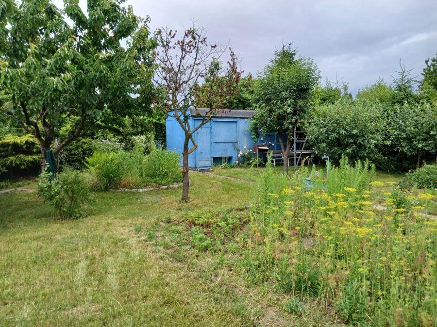 Działka rod Pruszcz Gdański