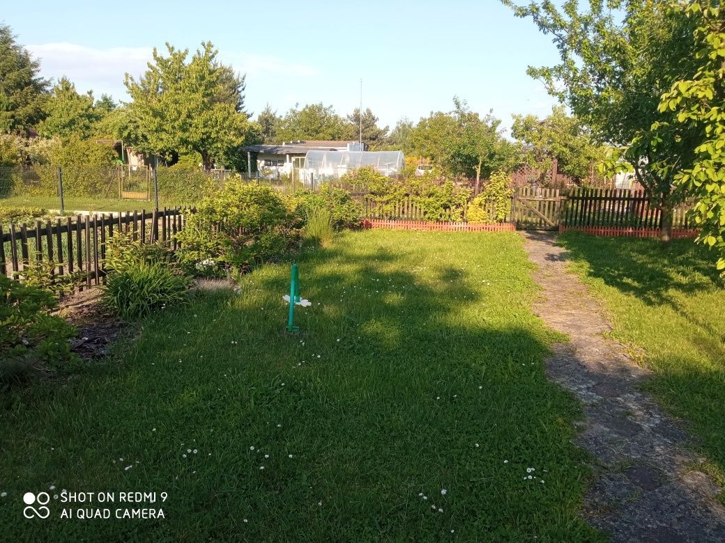 Działka rod Ostrów Wielkopolski, ul. Kaliska. Zdjęcie 4