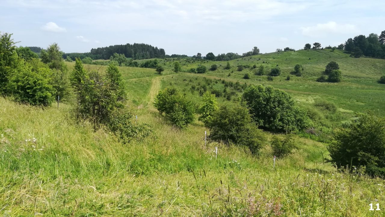 Działka budowlana Łaniewo. Zdjęcie 19