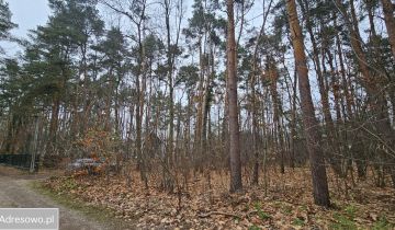 Działka leśna Owczarnia, ul. Jagiellońska