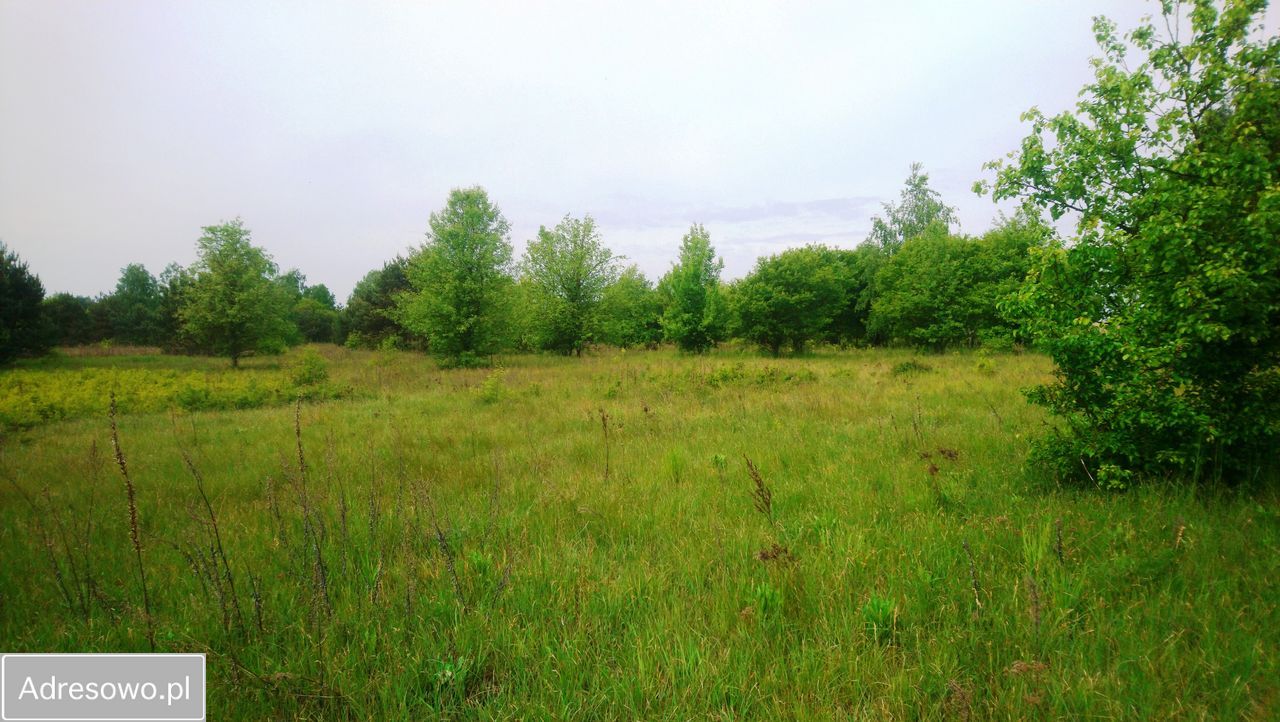 Działka budowlana Popielżyn-Zawady. Zdjęcie 6