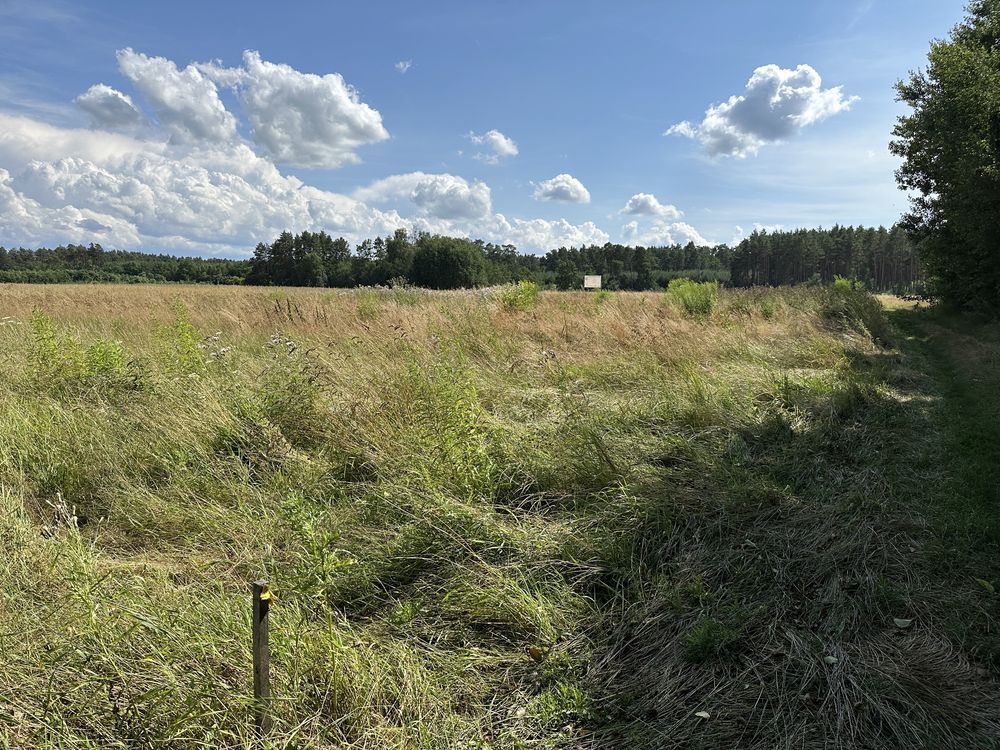 Działka rolno-budowlana Chwalęcice. Zdjęcie 5