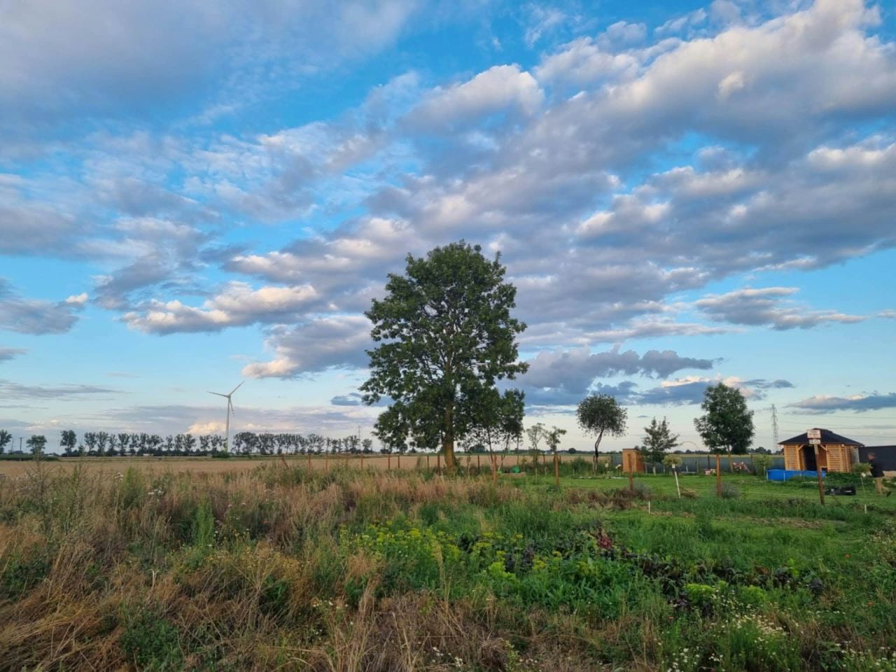 Działka rolno-budowlana Grzybno Pod Unisław, Toruńska. Zdjęcie 8