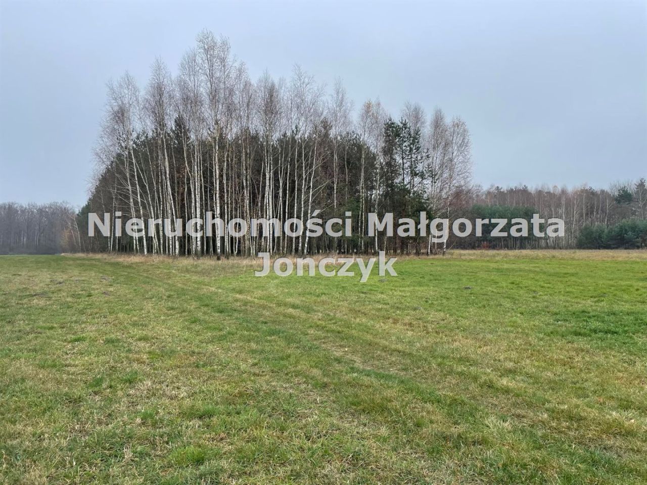 Działka leśna Pratków. Zdjęcie 1