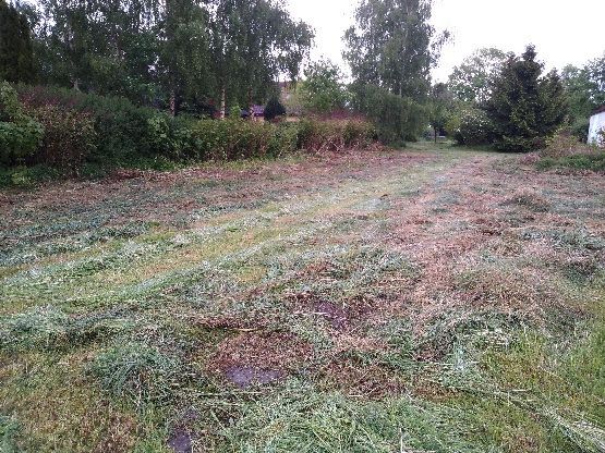 Działka budowlana Gostyń. Zdjęcie 1