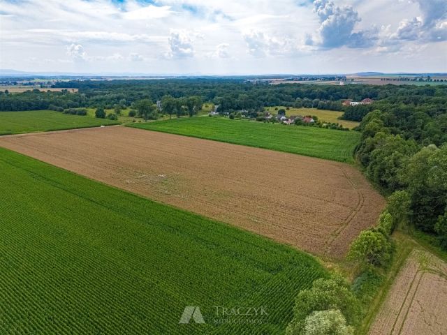 Działka siedliskowa Zachowice. Zdjęcie 10